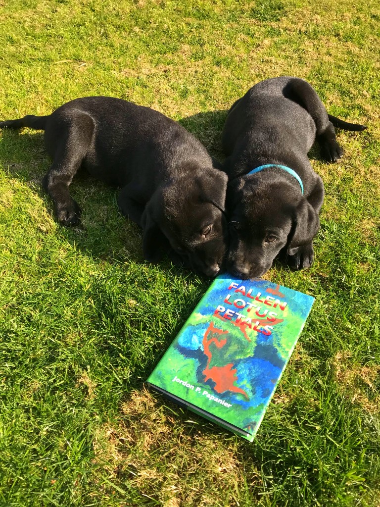 #bookhounds #Labradors #fallenlotuspetals #Dogs